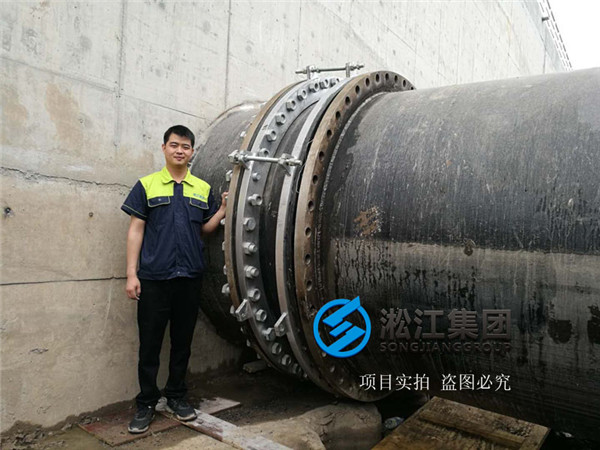 【水处理案例】上海市竹园污水处理厂橡胶补偿接头“附合同、实拍”