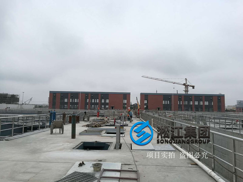 「2018」发往上海市竹园污水处理厂限位橡胶补偿接头使用现场