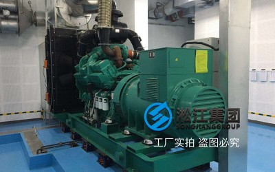 「2017」柴油发电机ZTF型弹簧减震器使用现场
