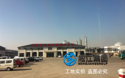 「2016」发往河南晋开化工百万吨磷化项目橡胶补偿接头使用现场