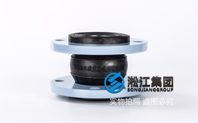 苏州询价走冷冻水DN65/DN80/DN100 PN16单球橡胶接头